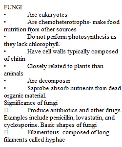 Homework 18 Part 2